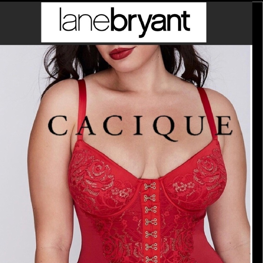 NWT Lane Bryant Cacique Lingerie size 18/20